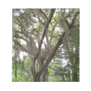 Eichenbaum mit spanischem Moos in den Ästen Notizblock