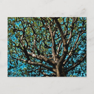 Eichenbaum Postkarte