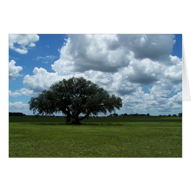 Eichenbaum und Wolken (Vorderseite (Horizontal))