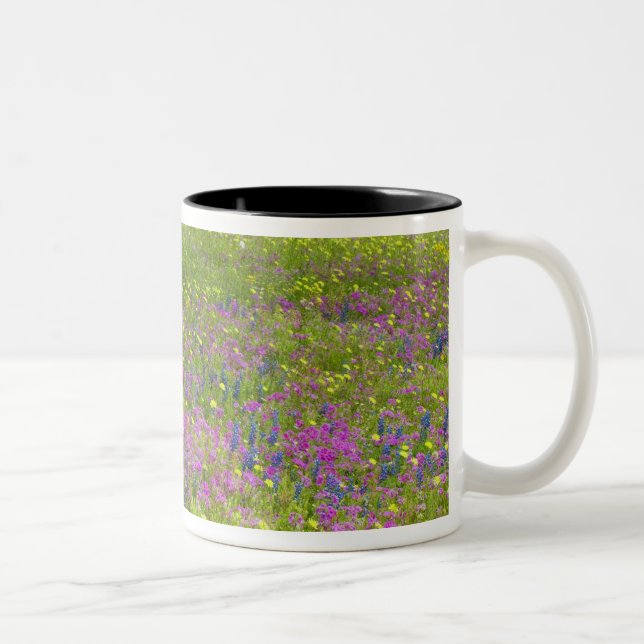 Eichenbäume mit Feld Phlox, Blauer Bonnets Zweifarbige Tasse (Rechts)