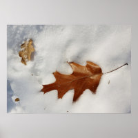 Eichenblatt auf dem Schnee