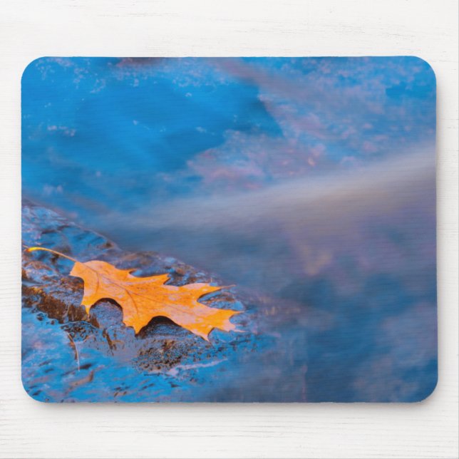 Eichenblatt auf Felsen am Rosseau-Fluss Mousepad (Vorne)