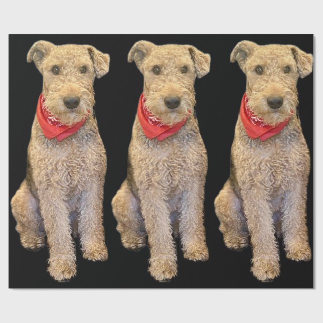 Eichenblatt-Geschenkpapier - Schwarz Geschenkpapier (Flach)