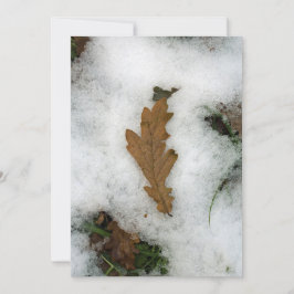 Eichenblatt in der Schneeurlaubskarte Feiertagskarte