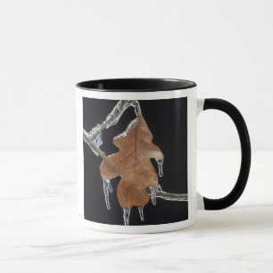Eichenblatt mit Eiszapfen nach Eissturm ; Tasse