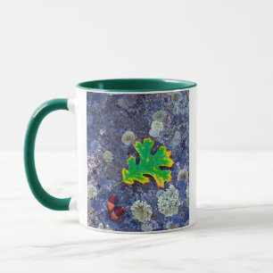 Eichenblatt und Eicheln auf einem mit Flechten bed Tasse