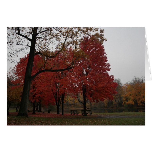 Eichenholzpark im Herbst (Vorderseite (Horizontal))
