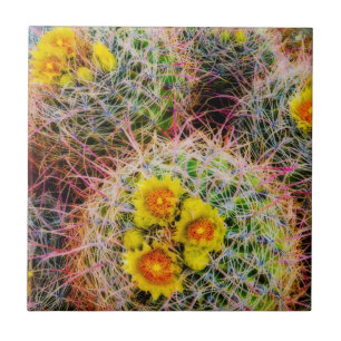 Eichenkaktus nah, Kalifornien Fliese