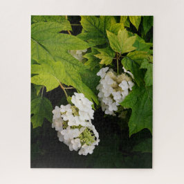 Eichenlaub-Hortensie Puzzle