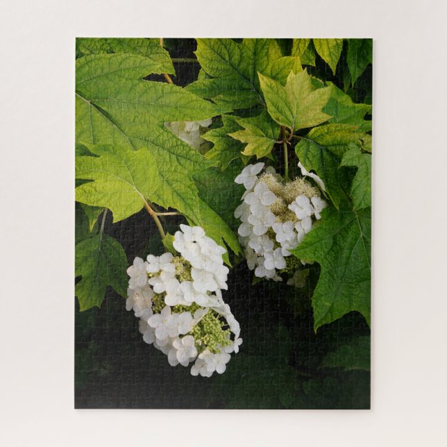 Eichenlaub-Hortensie Puzzle (Vertikal)