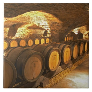 Eichentonnen im Keller des Domaine Comte Fliese