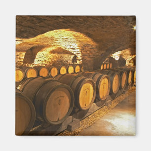 Eichentonnen im Keller des Domaine Comte Magnet