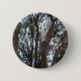 Eichenwald blauer Himmel und Moos Button