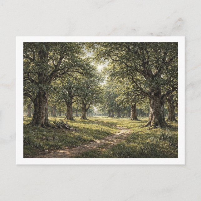 Eichenwald. Postkarte (Vorderseite)