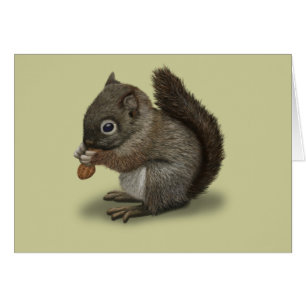 Eichhörnchen