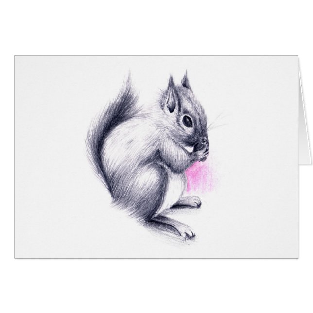 Eichhörnchen (Vorderseite (Horizontal))