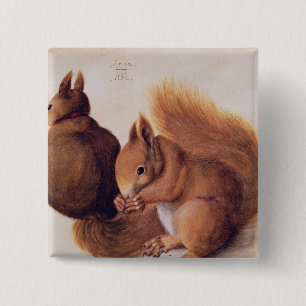 Eichhörnchen, 1512 button