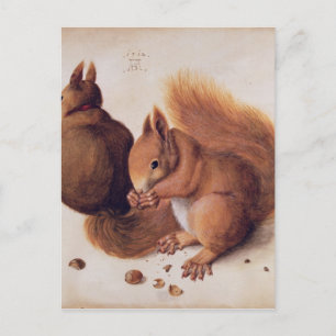 Eichhörnchen, 1512 postkarte