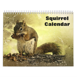 Eichhörnchen 2027 kalender