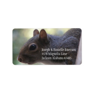 Eichhörnchen-Adressen-Aufkleber Adressaufkleber