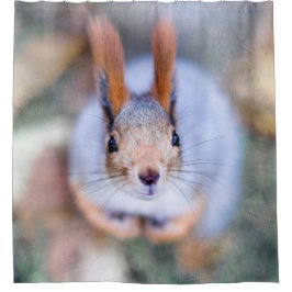 Eichhörnchen - Alles, was beißen soll Duschvorhang
