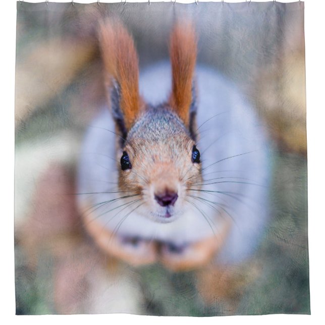 Eichhörnchen - Alles, was beißen soll Duschvorhang (Vorderseite)