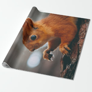 EICHHÖRNCHEN AM BAUMSTAMM GESCHENKPAPIER