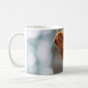 EICHHÖRNCHEN AM BAUMSTAMM KAFFEETASSE