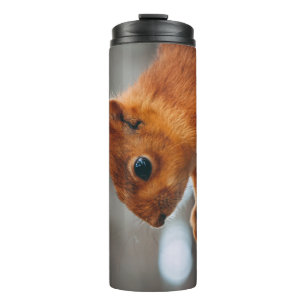 EICHHÖRNCHEN AM BAUMSTAMM THERMOSBECHER