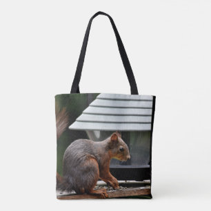 Eichhörnchen am Vogelfeeder