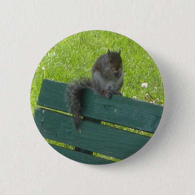 Eichhörnchen auf Bank Button (Vorderseite)