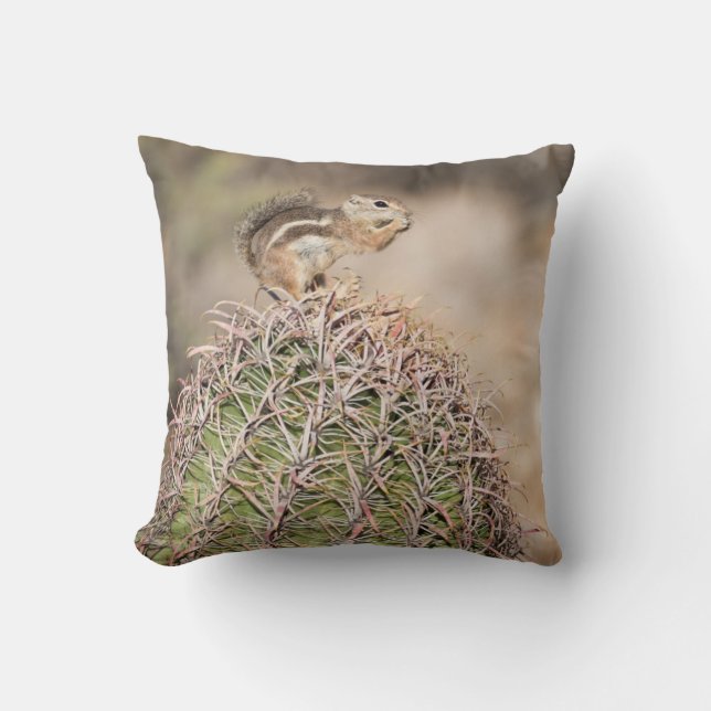 Eichhörnchen auf Barrel Cactus Kissen (Vorderseite)