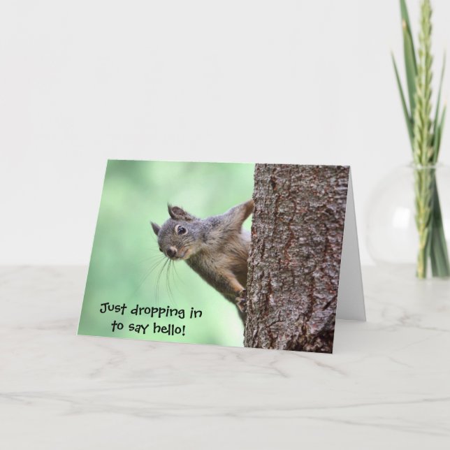 Eichhörnchen auf einem Baum Karte (Vorderseite)