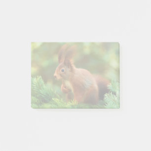 Eichhörnchen auf einem Baum Post-it Klebezettel
