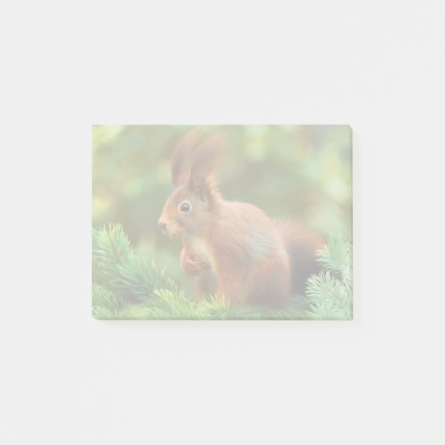 Eichhörnchen auf einem Baum Post-it Klebezettel (Vorderseite)