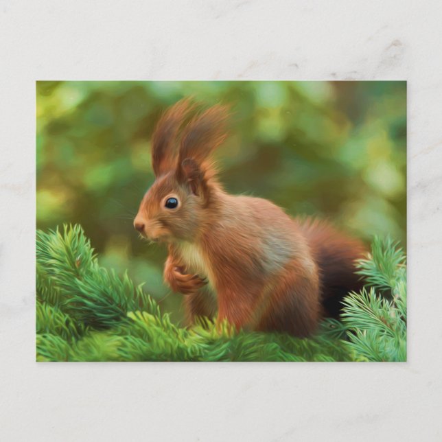Eichhörnchen auf einem Baum Postkarte (Vorderseite)