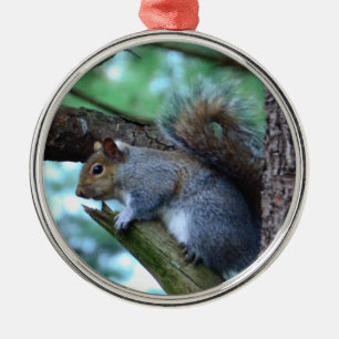 Eichhörnchen auf einer Niederlassung Ornament Aus Metall