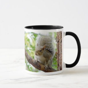 Eichhörnchen auf einer Niederlassungs-Tier-Tasse Tasse