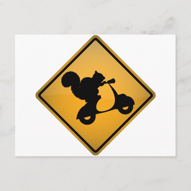 Eichhörnchen auf Scooter Postkarte (Vorderseite)