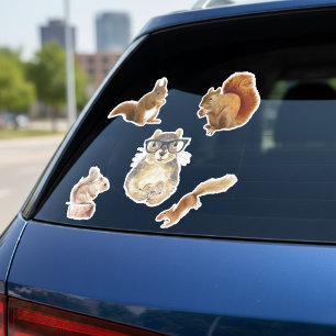 Eichhörnchen Aufkleber Sammlung