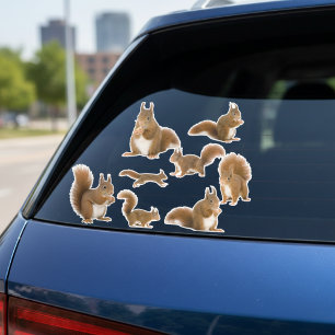 Eichhörnchen Aufkleber Sammlung