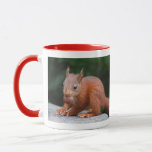 Eichhörnchen-Baby-mit-Nuss-Tasse Tasse