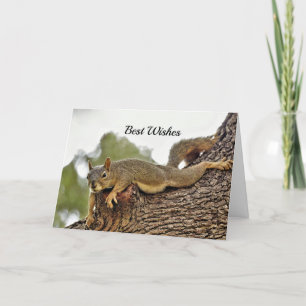 Eichhörnchen Baum Hochzeit Gratulationen Karte