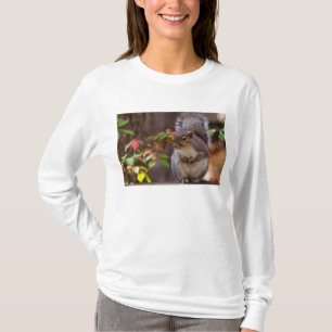 Eichhörnchen beginnt geduldig langen Schlauch T-Shirt