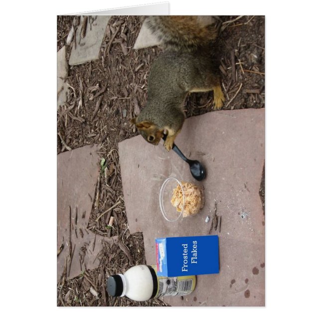 Eichhörnchen beim Frühstück (Vorne)