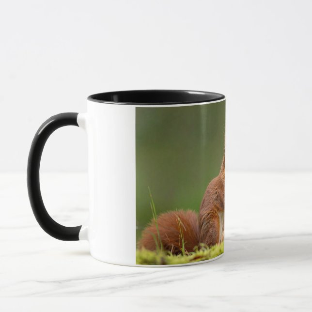 Eichhörnchen beim Nussessen Tasse (Links)
