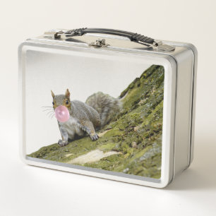 Eichhörnchen bläst Bubblegum Blase Animal Foto Metall Brotdose