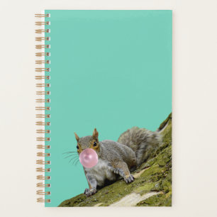 Eichhörnchen bläst Bubblegum Blase Animal Foto Planer