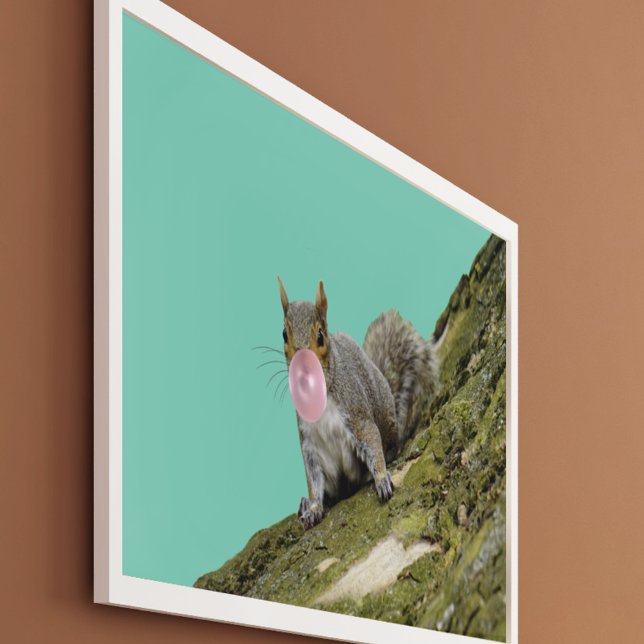 Eichhörnchen bläst Bubblegum Blase Animal Foto Poster (Von Creator hochgeladen)