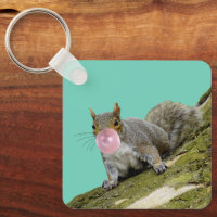 Eichhörnchen bläst Bubblegum Blase Animal Foto